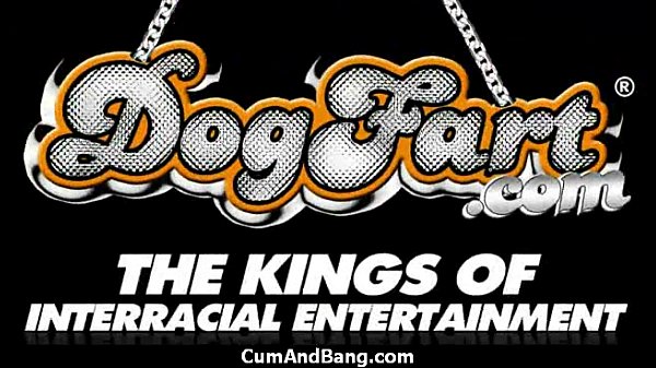 Ebony chick fucked hard in group sex action 2