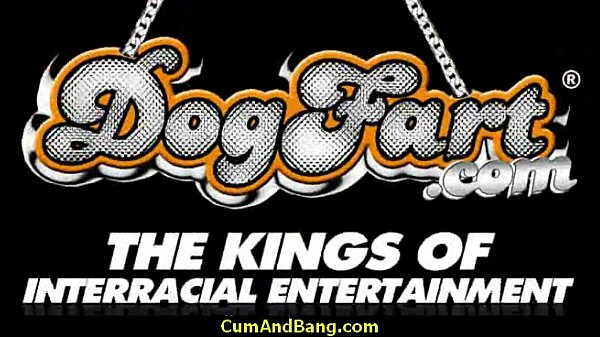 Ebony chick fucked hard in group sex action 14