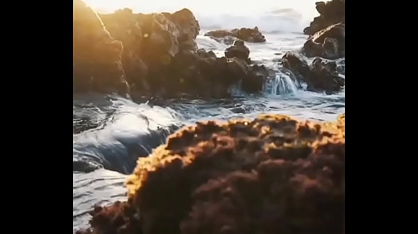 A BRUXA MALÉVOLA BLACK TROUXE SEU CORNO PARA FICA SENTANDO TOCANDO PUNHETA E ELA SENTANDO NO SAFADO DO BOLT JONES.